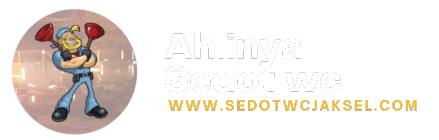 Ahlinya Sedot wc jakarta selatan