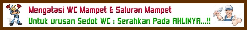 SEDOT WC JAKARTA MURAH