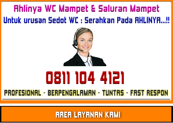Sedot wc jakarta kebayoran 